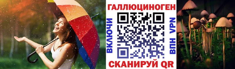 Галлюциногенные грибы Psilocybe  как найти закладки  Окуловка 